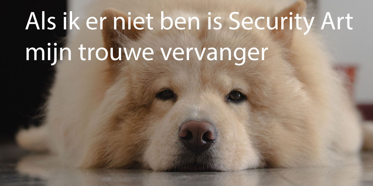 hond 1200x600x300